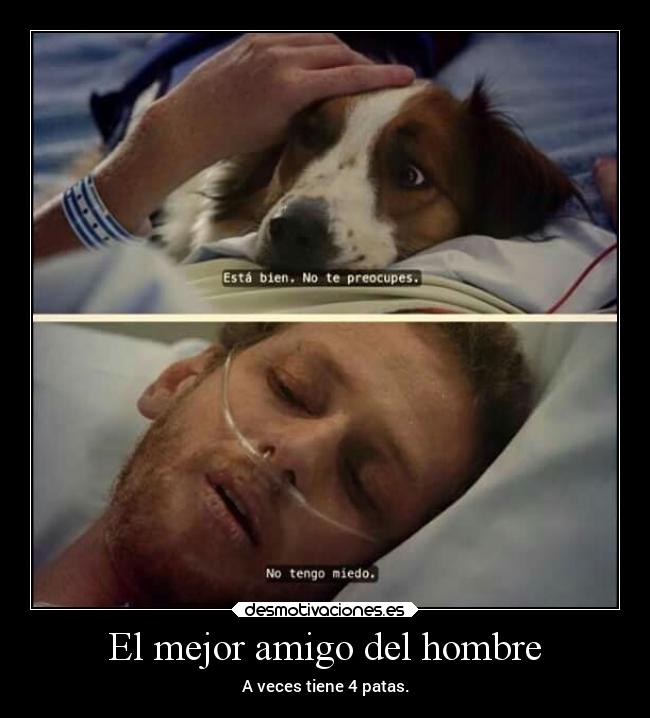 El mejor amigo del hombre - A veces tiene 4 patas.