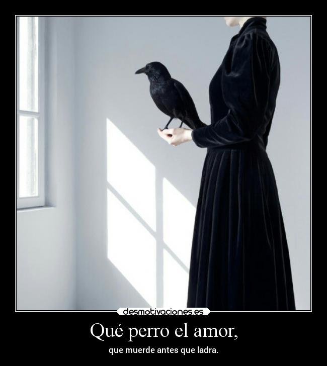 Qué perro el amor, - 