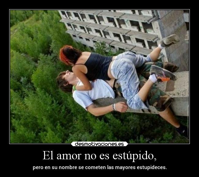 carteles amor amor estupideces desmotivaciones
