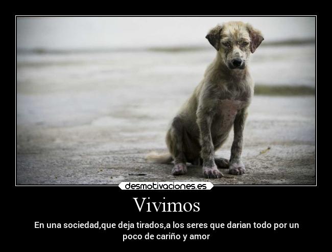 Vivimos -