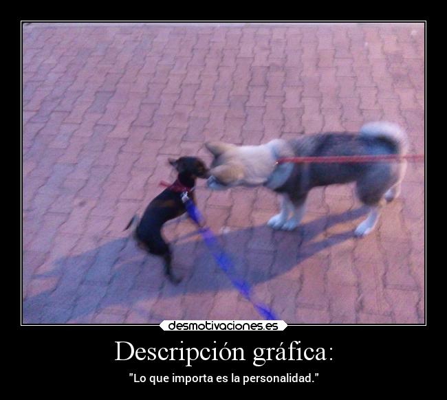 Descripción gráfica: - Lo que importa es la personalidad.