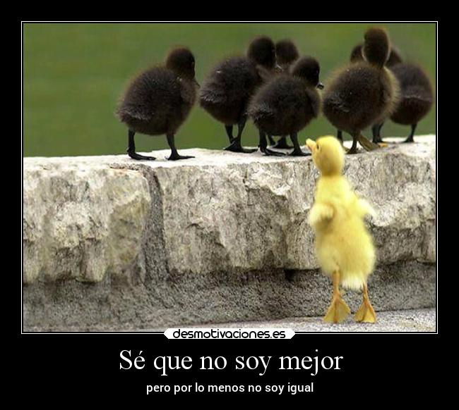 carteles animales amigos sociedad vida pollito mejor diferente bicho raro especial igual desmotivaciones