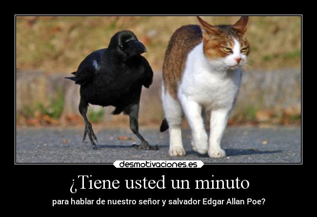 carteles animales humor edgar allan poe cuervo desmotivaciones