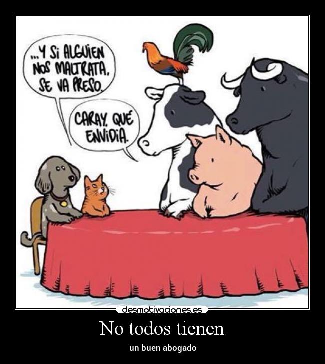 carteles animales problemas desmotivaciones