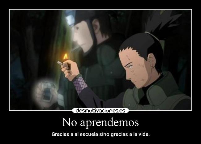 No aprendemos - Gracias a al escuela sino gracias a la vida.