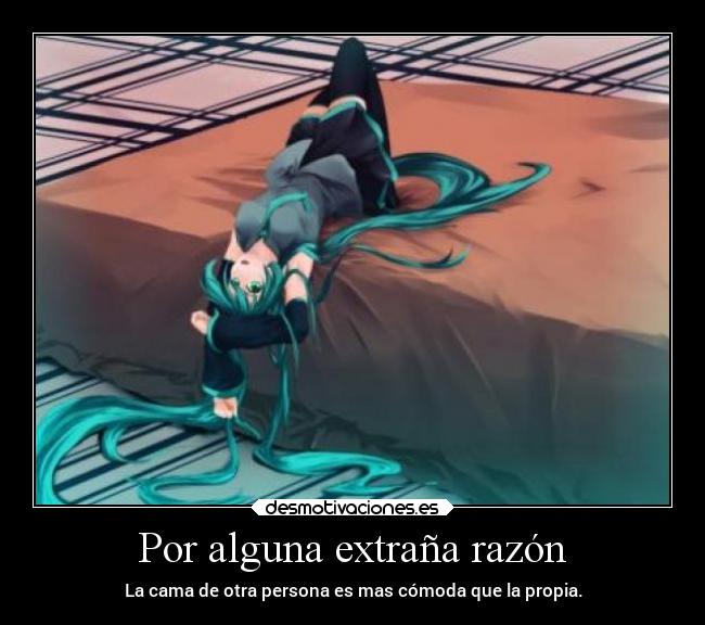 Por alguna extraña razón - La cama de otra persona es mas cómoda que la propia.