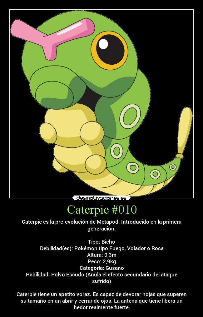 carteles anime pokemon pokedex caterpie metapod butterfree gusano polvo escudo desmotivaciones