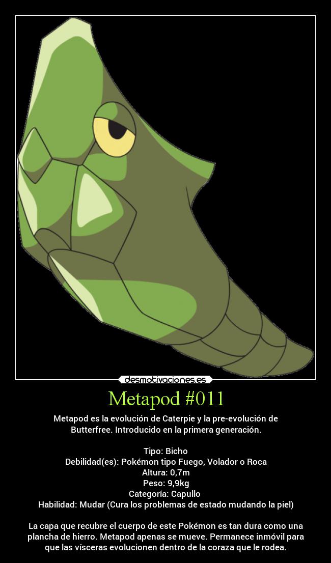 carteles anime pokemon pokedex caterpie metapod butterfree capullo mudar desmotivaciones