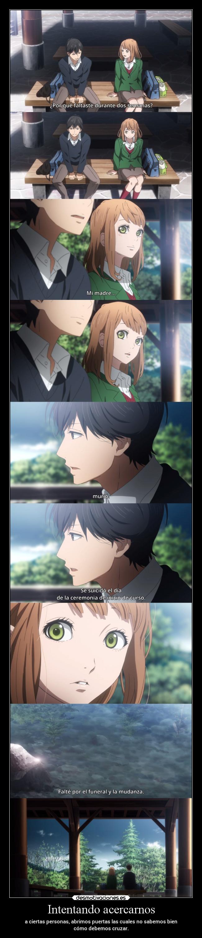 Intentando acercarnos - 