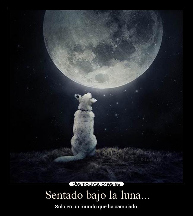 Sentado bajo la luna... - Solo en un mundo que ha cambiado.