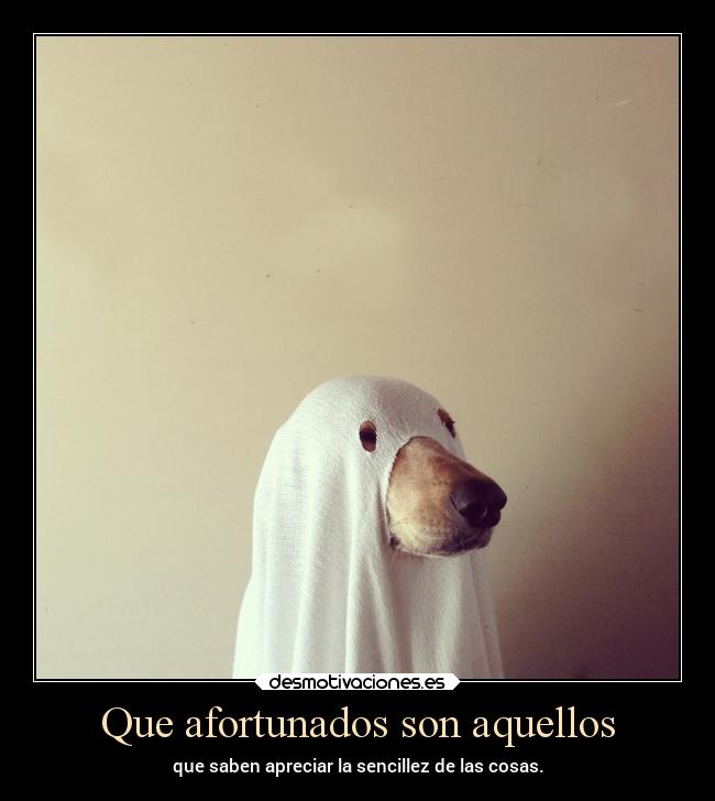 Que afortunados son aquellos - que saben apreciar la sencillez de las cosas.