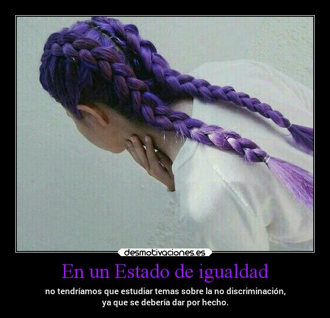 En un Estado de igualdad - no tendríamos que estudiar temas sobre la no discriminación,
ya que se debería dar por hecho.