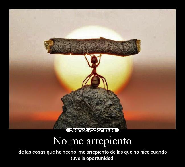 No me arrepiento - de las cosas que he hecho, me arrepiento de las que no hice cuando
tuve la oportunidad.