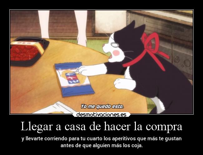 carteles casa anime humor risa gatos comida raptorhunters harukaze erosekai 3gatsunolion desmotivaciones