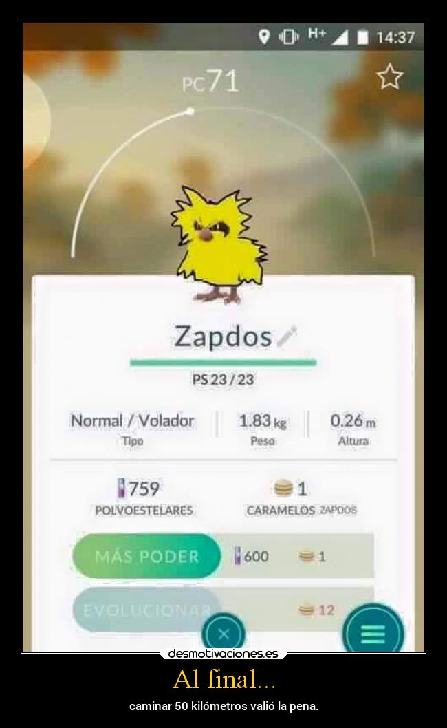 Al final... - caminar 50 kilómetros valió la pena.