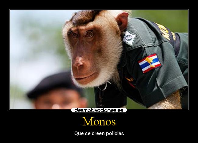 Monos -