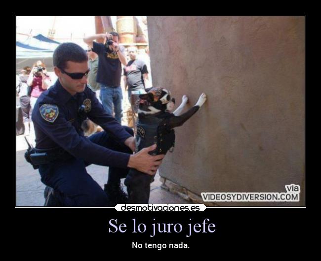 Se lo juro jefe -