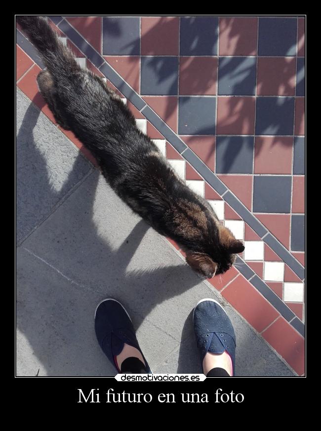 Mi futuro en una foto -