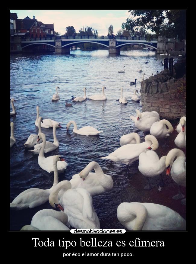 Toda tipo belleza es efímera -