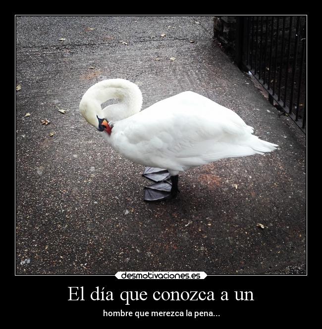 El día que conozca a un - hombre que merezca la pena...