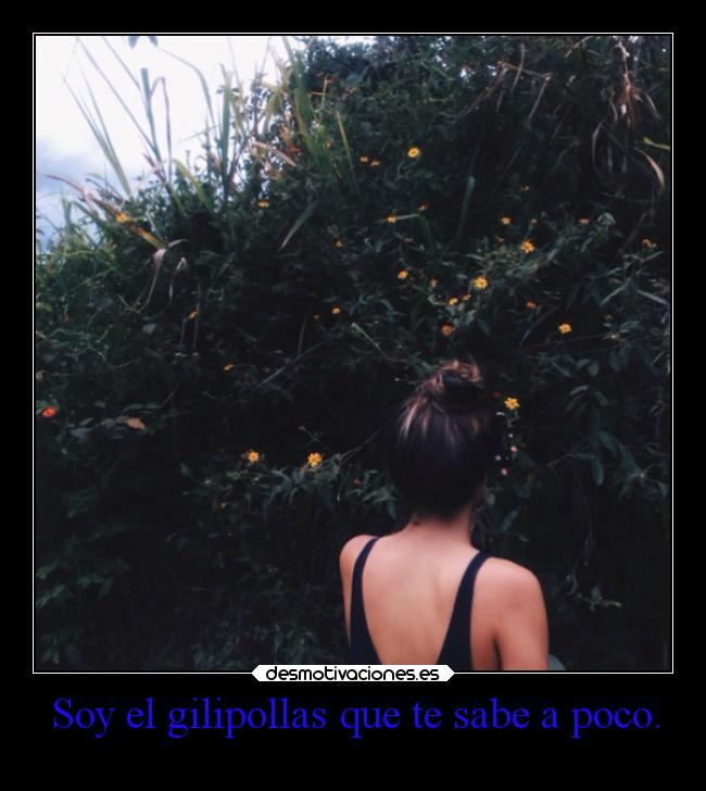 Soy el gilipollas que te sabe a poco. - 
