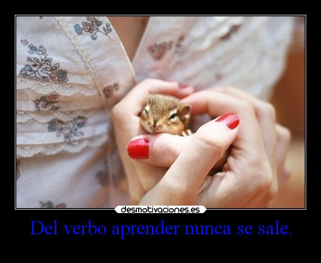 Del verbo aprender nunca se sale. - 