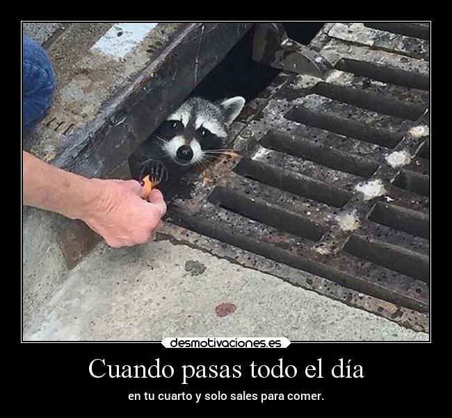 Cuando pasas todo el día -