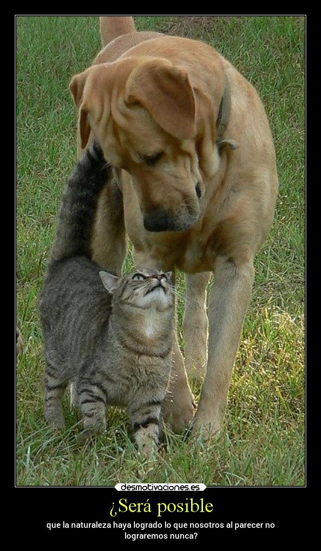 ¿Será posible - que la naturaleza haya logrado lo que nosotros al parecer no
lograremos nunca?