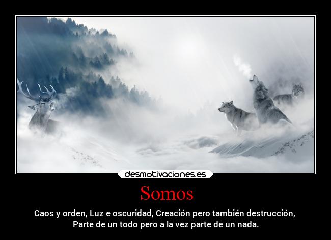Somos - Caos y orden, Luz e oscuridad, Creación pero también destrucción,
Parte de un todo pero a la vez parte de un nada.