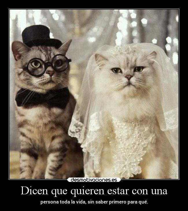 carteles desmotivaciones vida amor soyunidiotatm projectd manada32 desmotivaciones