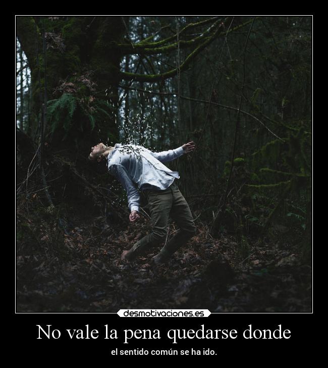 carteles desmotivaciones vida clandesplazado soyunidiotatm projectd manada32 desmotivaciones