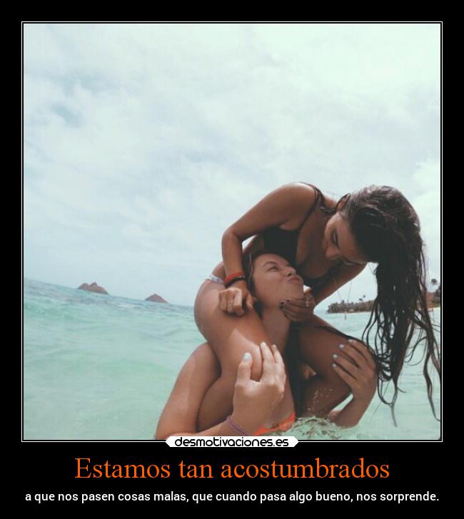 Estamos tan acostumbrados -