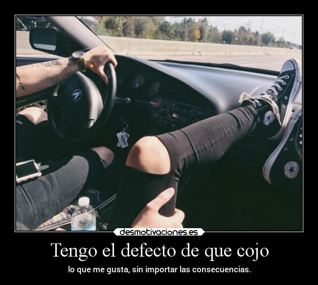 Tengo el defecto de que cojo - lo que me gusta, sin importar las consecuencias.