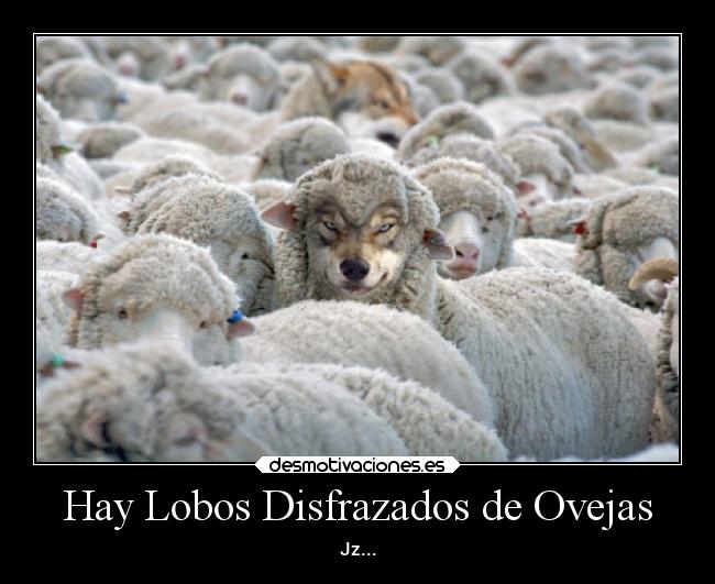 Hay Lobos Disfrazados de Ovejas - Jz...