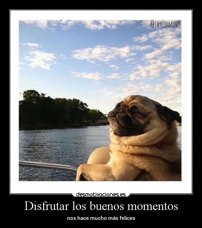 Disfrutar los buenos momentos - 