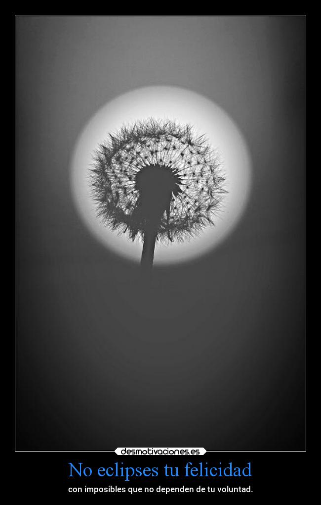 No eclipses tu felicidad -