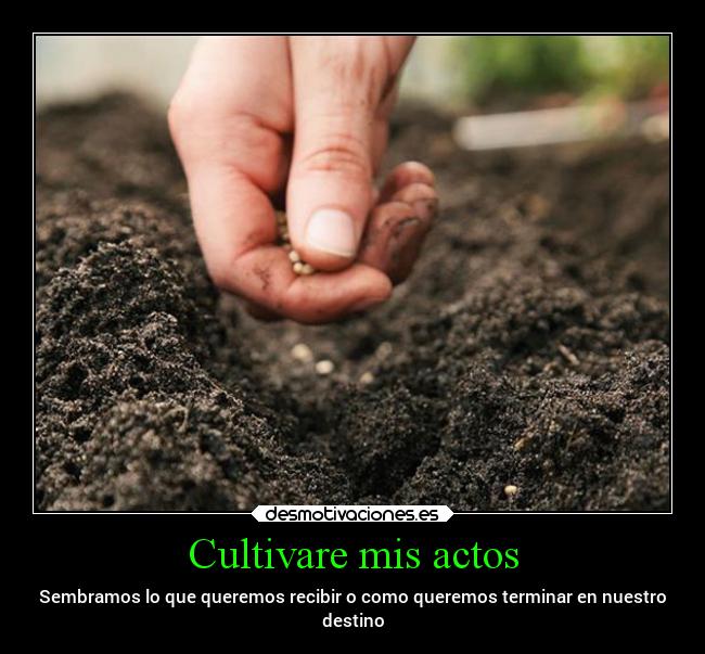 Cultivare mis actos - Sembramos lo que queremos recibir o como queremos terminar en nuestro
destino