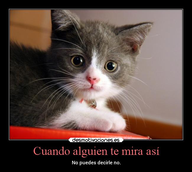 Cuando alguien te mira así - No puedes decirle no.