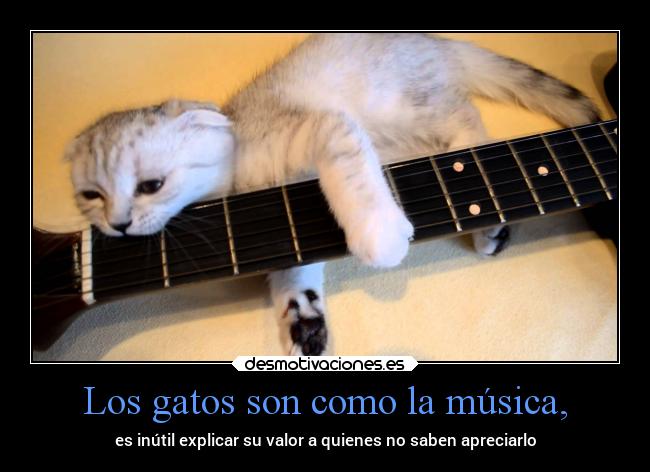 Los gatos son como la música, - es inútil explicar su valor a quienes no saben apreciarlo