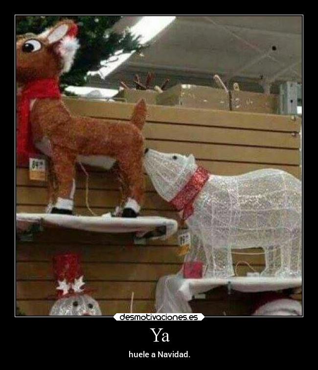 Ya - huele a Navidad.