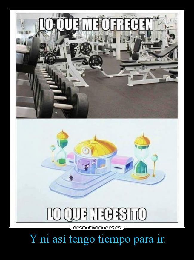 carteles humor vida ejercicio estoy gordo dragon ball gym gimnasio ct0001 tiempo habitacion locuras desmotivaciones