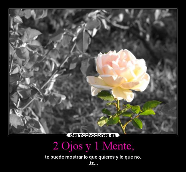 2 Ojos y 1 Mente, - te puede mostrar lo que quieres y lo que no.
Jz...