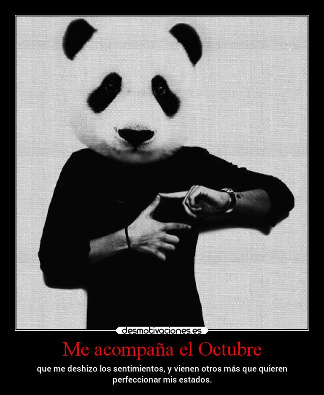 Me acompaña el Octubre - que me deshizo los sentimientos, y vienen otros más que quieren
perfeccionar mis estados.