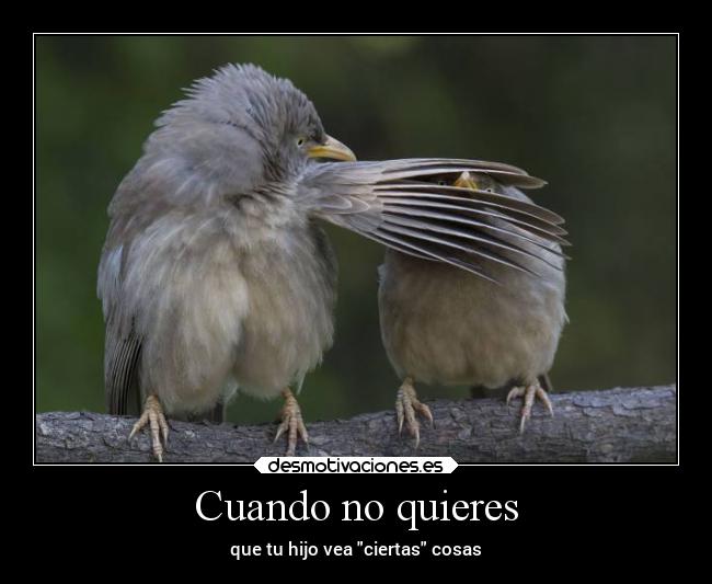 Cuando no quieres - 