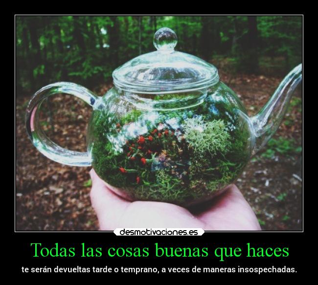 Todas las cosas buenas que haces - 