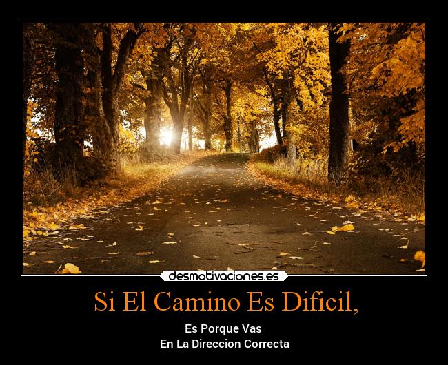 Si El Camino Es Dificil, - Es Porque Vas
En La Direccion Correcta