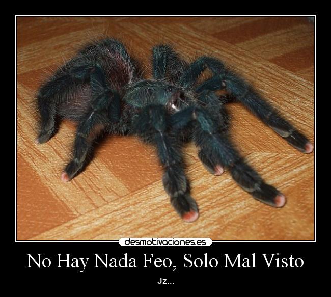 No Hay Nada Feo, Solo Mal Visto - Jz...