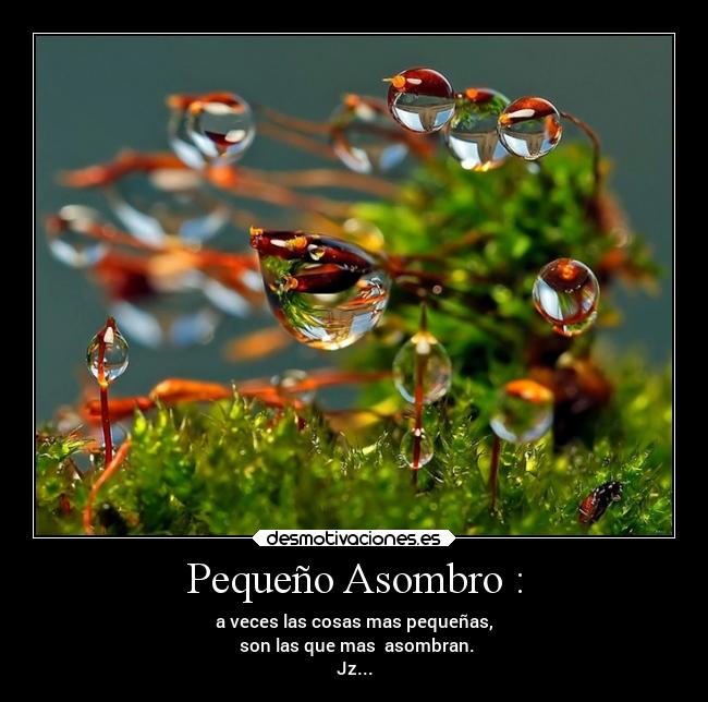 Pequeño Asombro : - a veces las cosas mas pequeñas,
son las que mas asombran.
Jz...