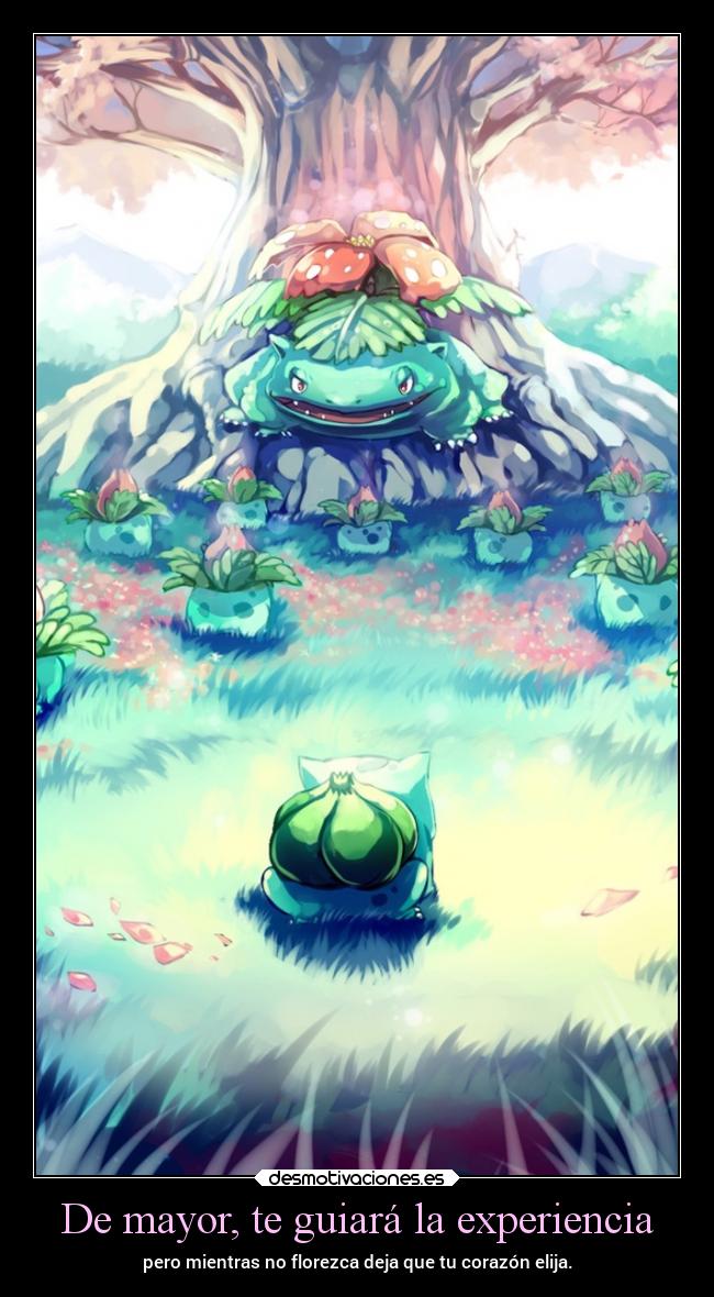 De mayor, te guiará la experiencia -