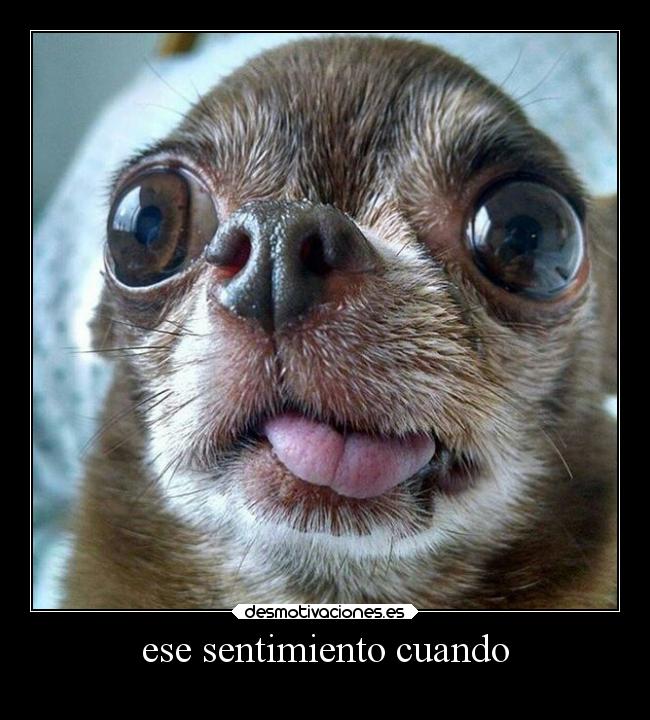 carteles sentimientos clansentimiento desmotivaciones